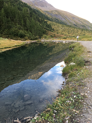 utmb 2017