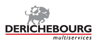 derichebourg multiservices